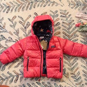 Patagonia Vibrant Red Hooded Jacket